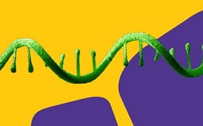 mRNA Development & Manufacturing