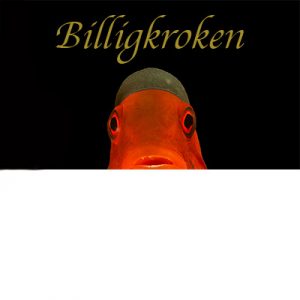 profesjonelle dykkerkurs oslo Oslofjorden Dykkesenter AS