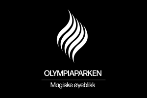 spesialister p  webdesign oslo Oase Media - Webdesign & innholdsproduksjon