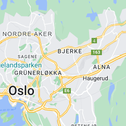 musical instrument shops in oslo PD Guitars